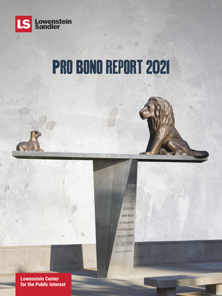 2021 Pro Bono Report