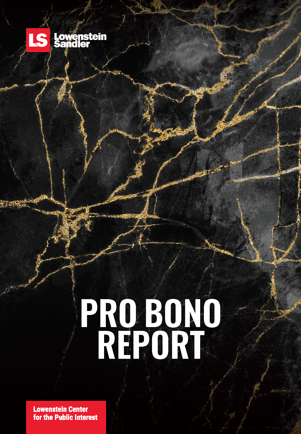 Lowenstein Sandler Releases 2025 Pro Bono Report, Highlighting Firm's Continued Commitment to Legal Advocacy, Impact Litigation, and Community Partnerships